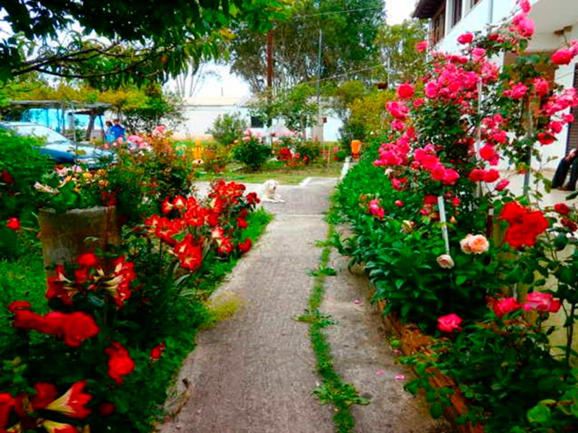 רודה Eftichia Apartment מראה חיצוני תמונה